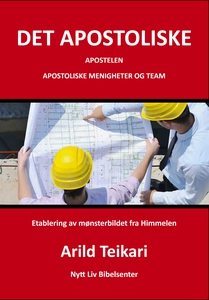 Det apostoliske (ebok) av Arild Teikari