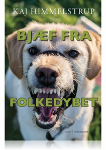 BJÆF FRA FOLKEDYBET (e-bog) af Kaj Hi