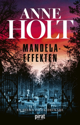 Mandelaeffekten (e-bok) av Anne Holt