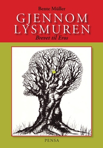Gjennom Lysmuren (ebok) av Bente Müller