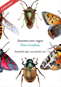 Summen over engen (lydbog) af Dave Go