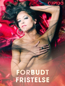 Forbudt fristelse (ebok) av Cupido .