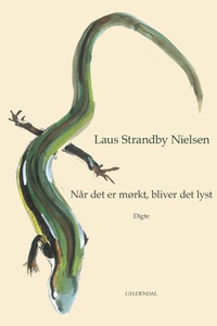 Når det er mørkt, bliver det lyst (e-