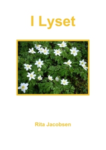 I Lyset (ebok) av Rita Jacobsen