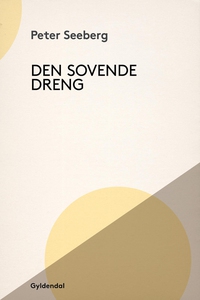 Den sovende dreng (e-bog) af Peter Se
