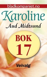 Veivalg (ebok) av Aud Midtsund