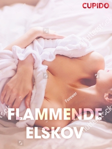 Flammende elskov – erotiske noveller (NO) (eb