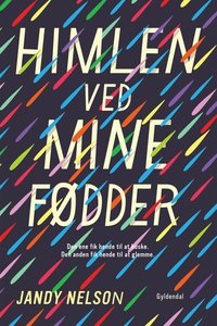 Himlen ved mine fødder (e-bog) af Jan