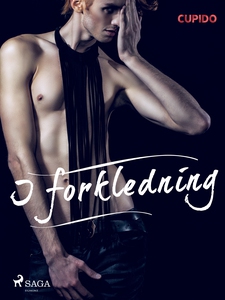 I forkledning (ebok) av Cupido noveller