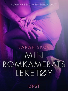 Min romkamerats leketøy - erotisk novelle (eb