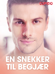 En snekker til begjær (ebok) av Cupido .