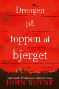 Drengen på toppen af bjerget (e-bog)