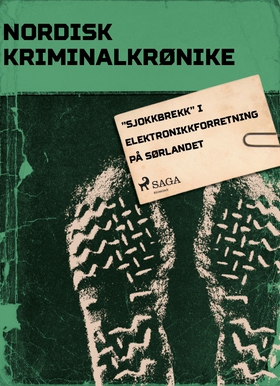 ”Sjokkbrekk” i elektronikkforretning på Sørlandet (ebok) av Diverse forfattere