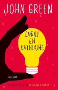 Endnu en Katherine (e-bog) af John Gr