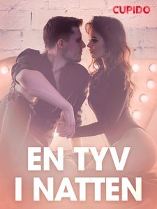 En tyv i natten – erotiske noveller (ebok) av