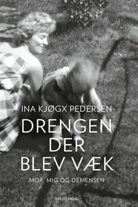 Drengen, der blev væk (e-bog) af Ina