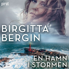 En hamn i stormen (ljudbok) av Birgitta Bergin