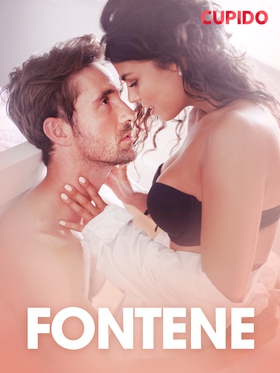 Fontene – erotiske noveller (ebok) av Cupido 