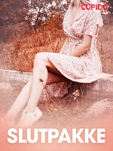 Slutpakke – erotisk novelle (ebok) av Cupido
