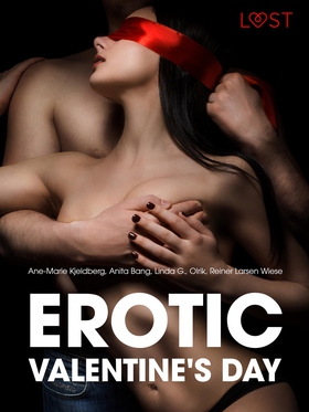 Erotic Valentine's Day - 6 erotiske historier (ebok) av Ane-Marie Kjeldberg