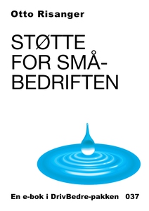 Støttemuligheter til småbedriften (ebok) av O