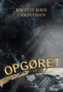 Opgøret (e-bog) af Birgitte Riber Chr