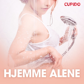 Hjemme alene - erotiske noveller (lydbok) av Cupido -