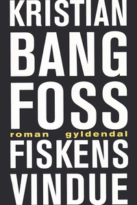 Fiskens vindue (e-bog) af Kristian Ba