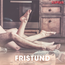 Fristund – erotiske noveller (lydbok) av Cupido -