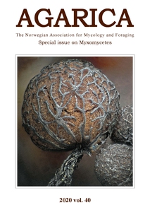 Agarica: Special issue on slime moulds (myxo