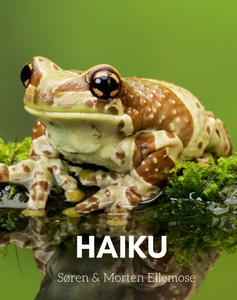 HAIKU (e-bog) af Søren Ellemose, Mort