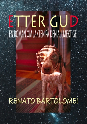 Etter Gud - En roman om jakten på den allmektige (ebok) av Renato Bartolomei