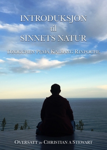 Introduksjon til sinnets natur (ebok) av Dzog