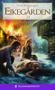 Ildregn (ebok) av Stine Langtangen