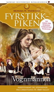 Vognmannen: Fyrstikkpiken 3 (ebok) av Monika