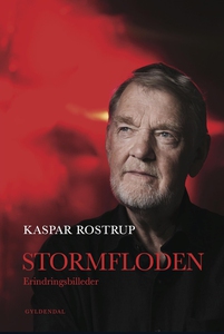 Stormfloden (e-bog) af Kaspar Rostrup