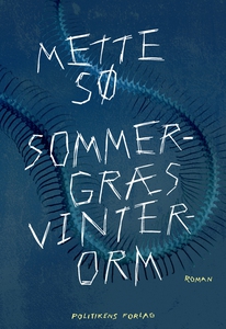 Sommergræs, vinterorm (e-bog) af Mett