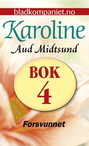 Forsvunnet (ebok) av Aud Midtsund