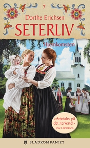 Hjemkomsten (ebok) av Dorthe Erichsen