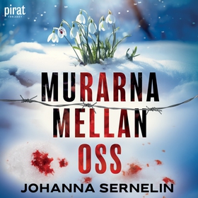 Murarna mellan oss (ljudbok) av Johanna Serneli