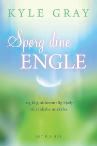 Spørg dine engle (e-bog) af Kyle Gray