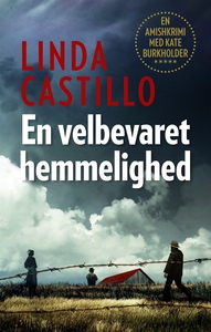 En velbevaret hemmelighed (e-bog) af