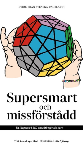 Supersmart och missförstådd (e-bok) av Anna Lag