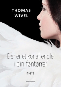 Der er et kor af engle i din føntørre