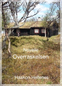 Overraskelsen (ebok) av Haakon Hellenes
