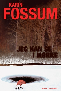 Jeg kan se i mørke (e-bog) af Karin F